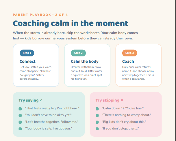 The Co-Regulation Playbook